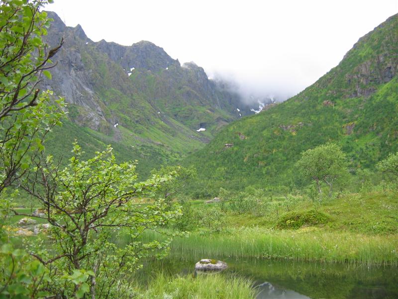 Sommeridyll ved Litjvatnet