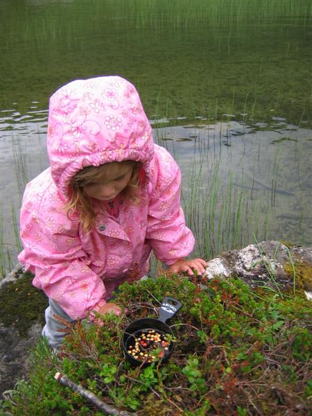 Moltekart kan brukes til så mangt